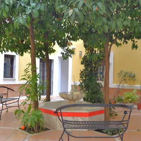 Sunshine Patio Del Consistorio *