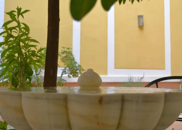 Sunshine Patio Del Consistorio