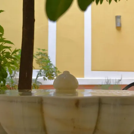 Sunshine Patio Del Consistorio